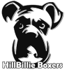 Hill Billie Puppies