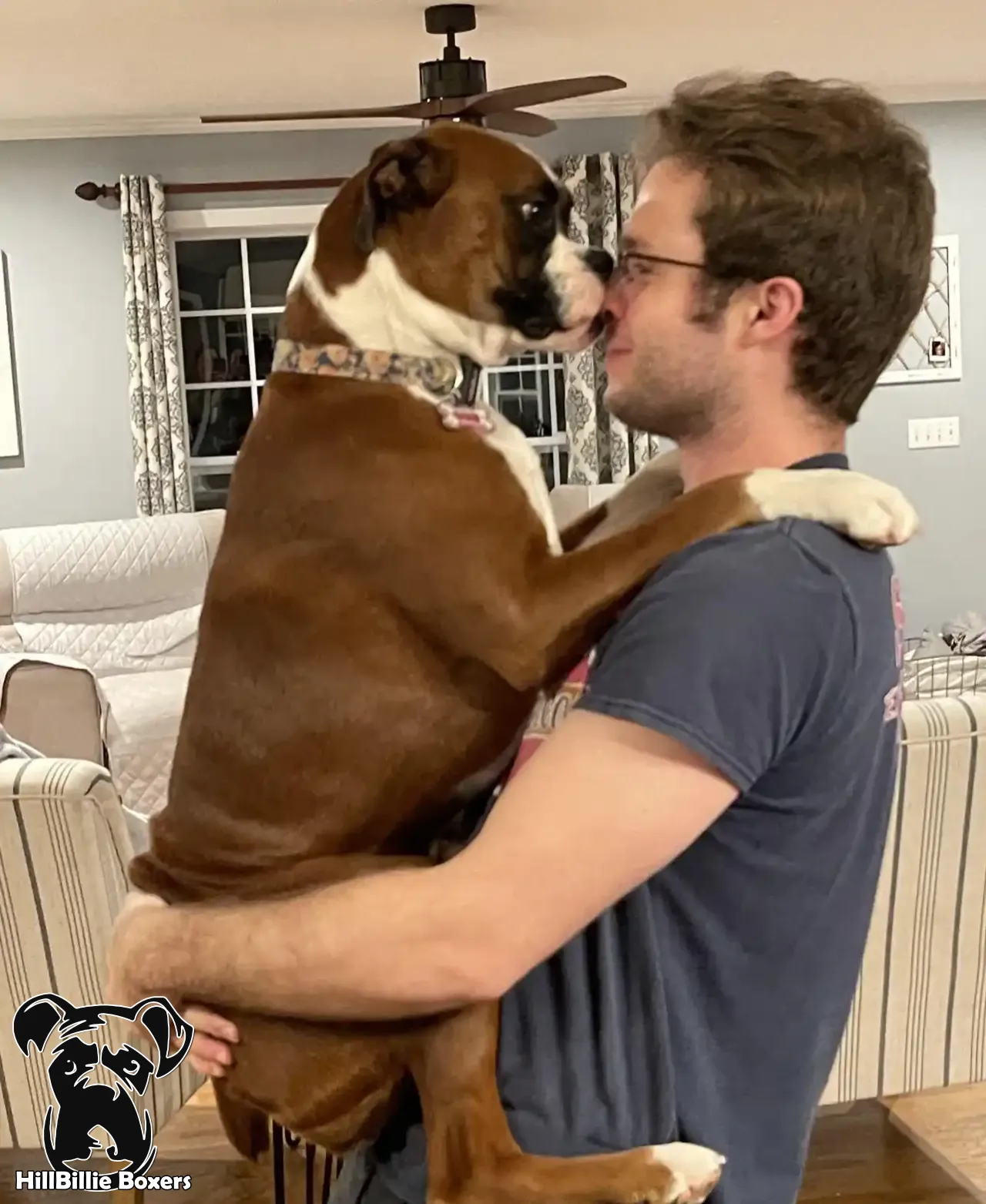 Happy Boxer Family