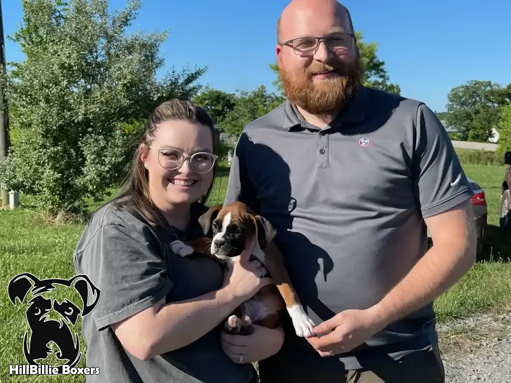 Happy Boxer Family