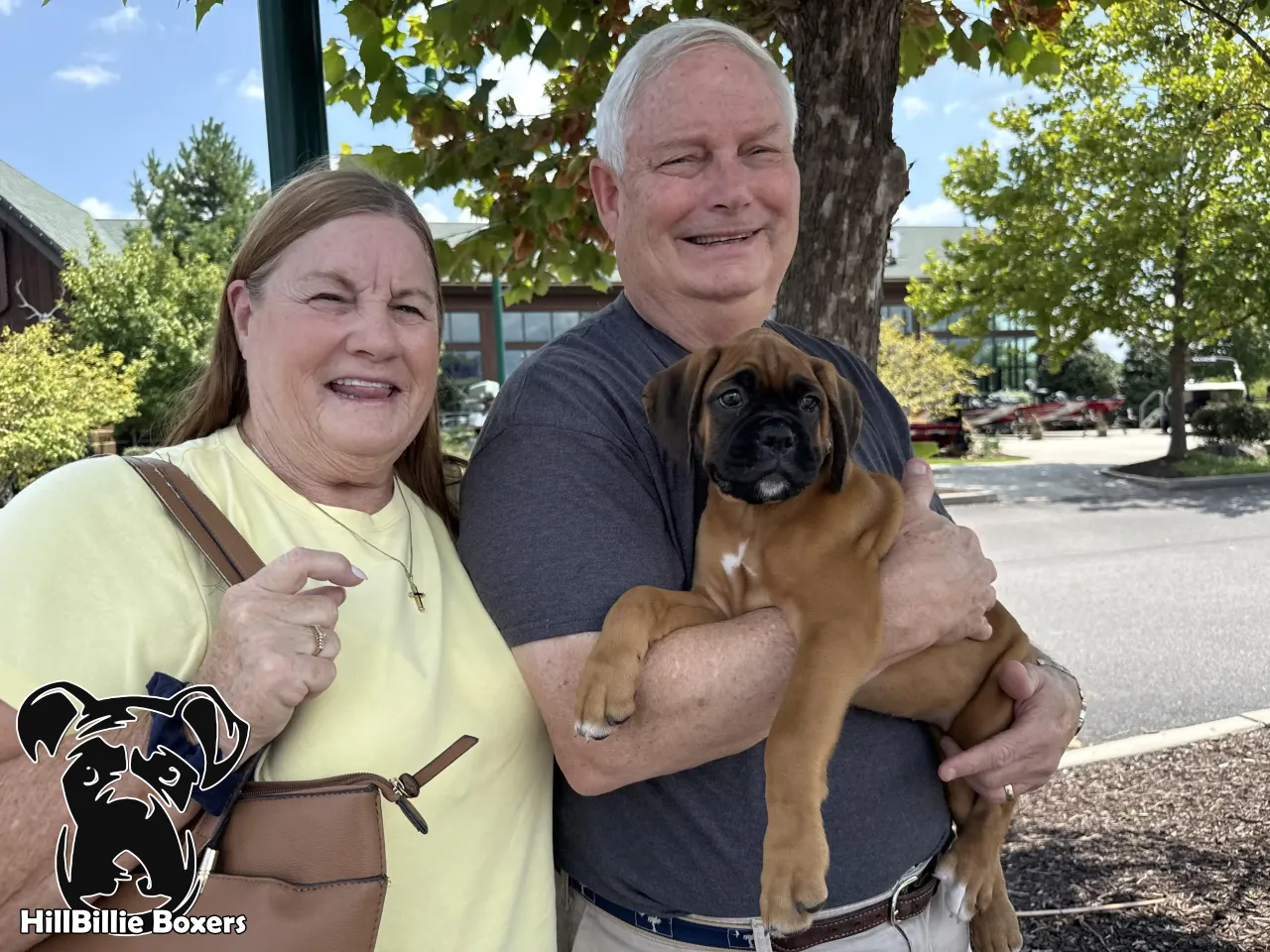 Happy Boxer Family